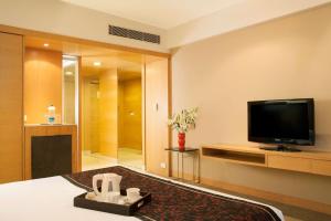 TV a/nebo společenská místnost v ubytování Radisson Blu Hotel Pune Kharadi