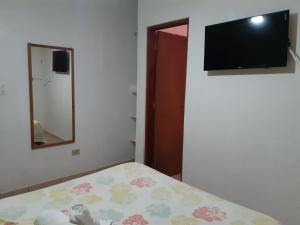 1 dormitorio con cama, espejo y TV en Pousada Raios de Luar, en Boicucanga