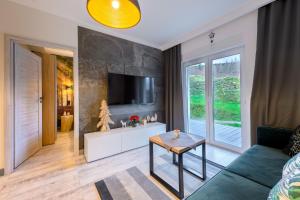 a living room with a couch and a tv at Apartament Izerska Przygoda - 5D Apartamenty in Świeradów-Zdrój