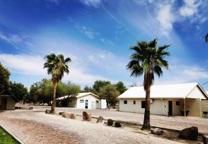 a couple of palm trees and two dogs on a road at East Gate Rest Camp in Buitepos