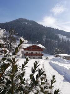 Urlaub am Bauernhof Rothof v zime
