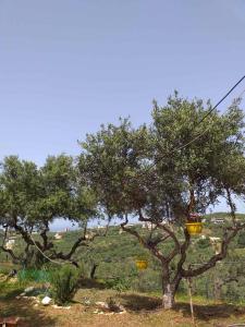 Taman di luar Calm and Top view in Chania countryside