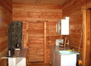 a kitchen with wooden walls and a refrigerator and a sink at Полонянка in Bukovinka