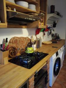 kuchnia z kuchenką i kuchenką piekarnik w obiekcie Apartmán Alice w mieście Jablonec nad Jizerou