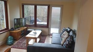 a living room with a couch and a tv at Loch Ness Balcony Apartment in Drumnadrochit