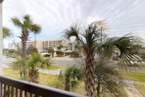a view of a palm tree from a balcony at Alerio Condos in Destin