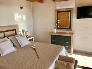 a bedroom with a bed with a chair and a television at Finca La Paz in San Miguel de Abona