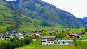 uma aldeia num vale com montanhas ao fundo em Ferienwohnung Seidl Top 3 em Rauris
