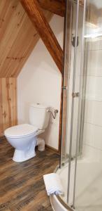 une salle de bain avec toilettes et douche en verre dans l'établissement Dom Nad Potokiem, à Proszowa 32 autres photos