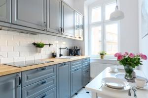 Kitchen o kitchenette sa Apartament Nowe Miasto - Skwer Malarzy