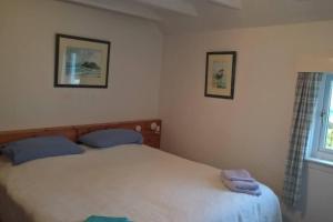 a bedroom with a bed with two blue pillows at Bothan na Tilleadh in Achiltibuie