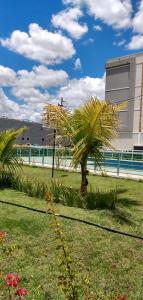 Swimmingpoolen hos eller tæt på Plaza Fraga Maia