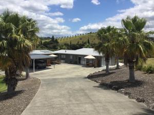 a driveway leading to a building with palm trees at Pukeko Nest in Russell