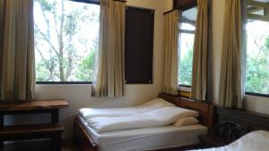 Un dormitorio con dos camas y dos ventanas. en Hong Wa Cuo南投埔里紅瓦厝山居民宿, en Puli