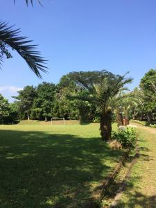a palm tree and a soccer ball in a field at Nite & Day MDC Puncak - Gadog in Bogor
