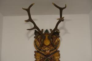 a wall mounted deer head with antlers at Pensiunea Vraja in Giuleşti