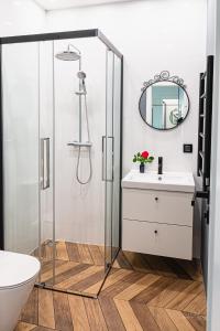a bathroom with a shower and a sink at No.1 Apartment Link-To-Happiness in Klaipėda +30 photos
