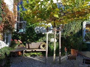 a bench and a tree in a garden at Hotel Gasthof Traubenbräu in Krumbach