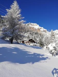 Chalet Waldrand v zimě
