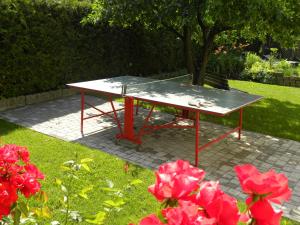 Hotel B&B Martha ping-pongozási lehetőségei