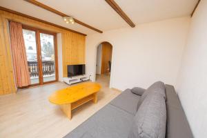 TV o dispositivi per l'intrattenimento presso Haus Pickelschmiede