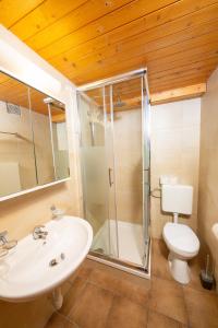 ein Bad mit einer Dusche, einem Waschbecken und einem WC in der Unterkunft Haus Pickelschmiede in Saas-Grund