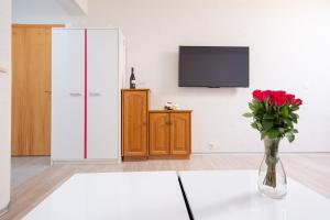 TV o dispositivi per l'intrattenimento presso Haus Pickelschmiede