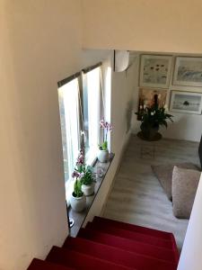 a stairway with potted plants in a room at Rymlig lägenhet i avdelat hus med egen parkering in Käglinge