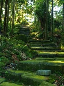 古坑鄉的住宿－桂林香波咖啡城堡民宿，花园里有树木,有一套石头台阶