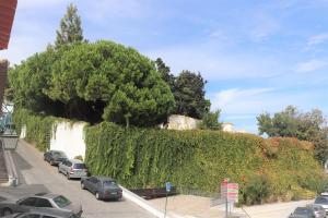 ein großer Baum an einer Wand mit geparkten Autos in der Unterkunft Casa Gil Vicente in Almada