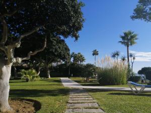 A garden outside Estudio Pies de Arena