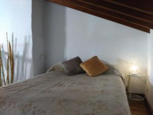 阿爾考辛的住宿－Room El Pilarillo，一间卧室配有一张带两个枕头的床