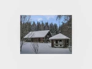 HauhoにあるHoliday Home Oravanpesä by Interhomeの雪が降り注ぐログキャビン
