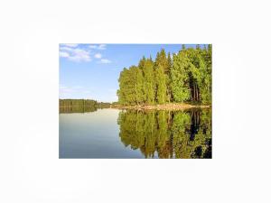 a view of a lake with trees in the water at Holiday Home Varpu by Interhome in Hauho