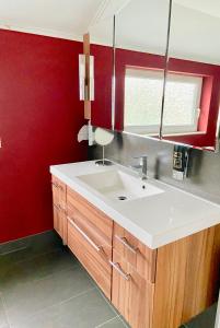 a bathroom with a sink and a red wall at Landgasthaus Alter Posthof in Halsenbach