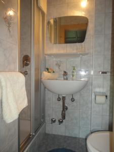y baño con lavabo y ducha. en Ferienwohnung - Schmirnerhof, en Brandberg