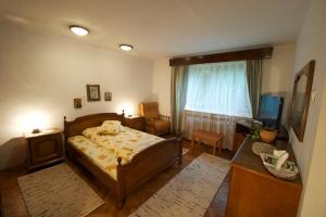 TV a/nebo společenská místnost v ubytování Pensiunea Aurora Albac + 37 fotografií