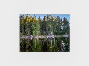 HauhoにあるHoliday Home Mustikka by Interhomeの木々が茂る湖の景色