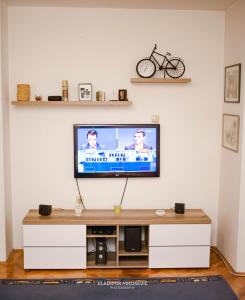 TV a/nebo společenská místnost v ubytování Dusko dugousko