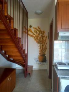Una escalera en una cocina con una planta en la pared en Phyllis Maisonettes, en Kallithea Halkidikis