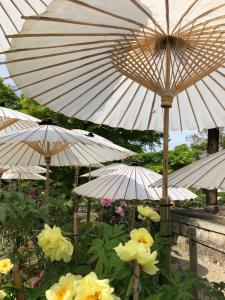 a group of umbrellas in a garden with flowers at Cozy house 305 free wifi a rented electric bicycle in Kyoto