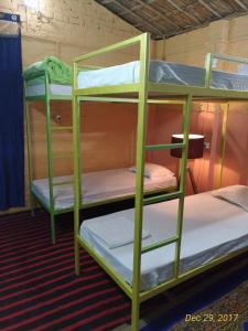 two green bunk beds in a room at Vimegh Homestay in Agra