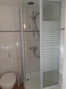 a bathroom with a shower with a toilet and a glass shower stall at Ferienzimmer Wenzel in Hasselfelde