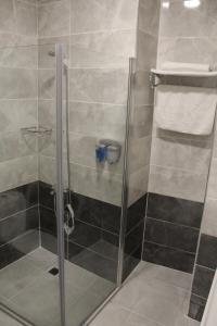 La salle de bains est pourvue d'une douche avec une porte en verre. dans l'établissement IVY SULTANAHMET, à Istanbul