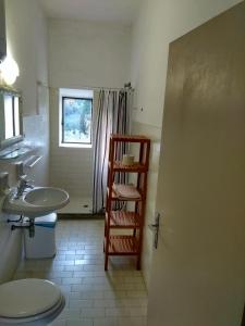 a bathroom with a sink and a toilet and a shelf at Castello di Pratelli in Incisa in Valdarno