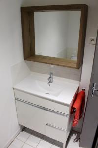 a bathroom with a white sink and a mirror at Gîte LE JARDINIER in Épinal +25 photos