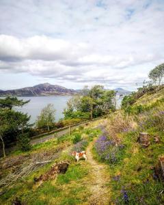 a view from a boat on a hill overlooking a lake at Raasay House Hotel in Raasay