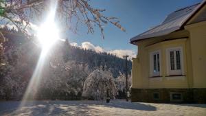 Příroda nedaleko apartmánu