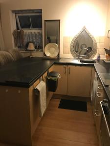 eine Küche mit einer Spüle und einer Theke in der Unterkunft Laundry Cottage Apartments in Southampton