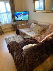 a living room with a couch and a tv at Laundry Cottage Apartments in Southampton